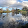 Wild Carp Trust Cowslip Pool