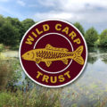 wild carp trust logo
