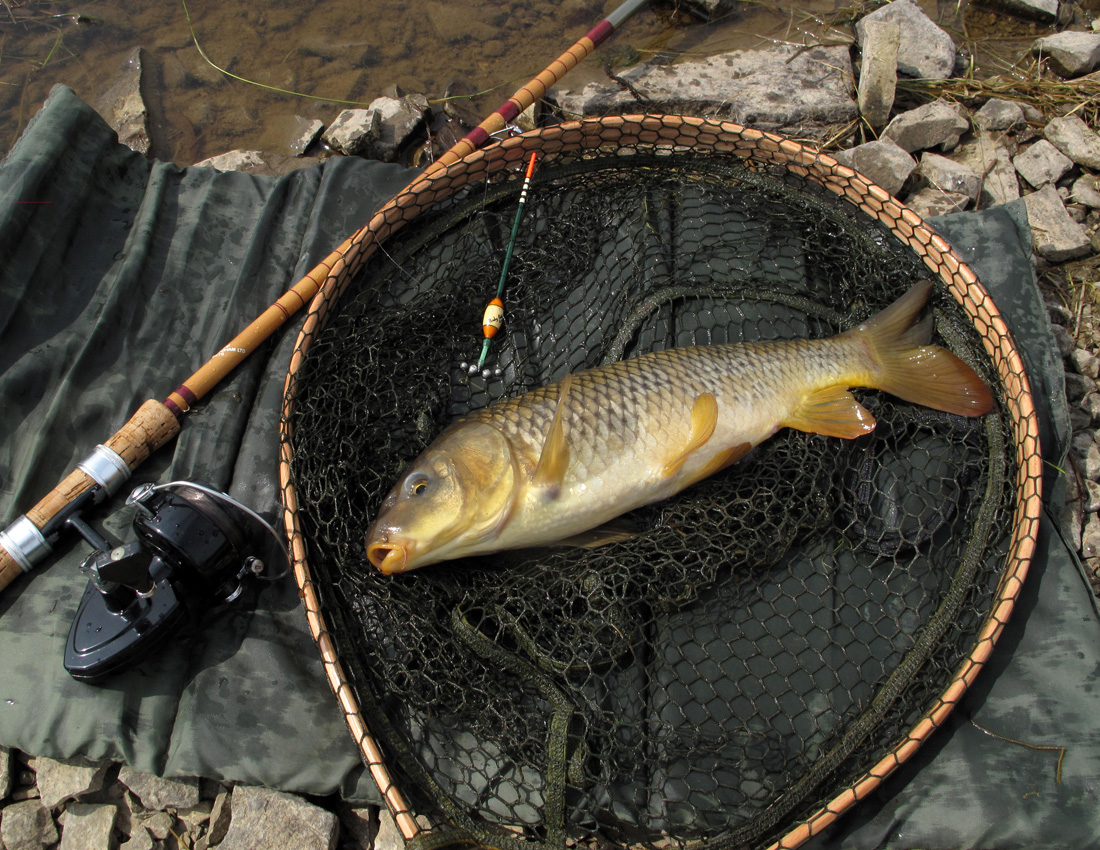 Fishing - Wild Carp Trust : Wild Carp Trust