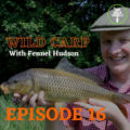 Wild Carp trust on Carp Angler Chronicles podcast