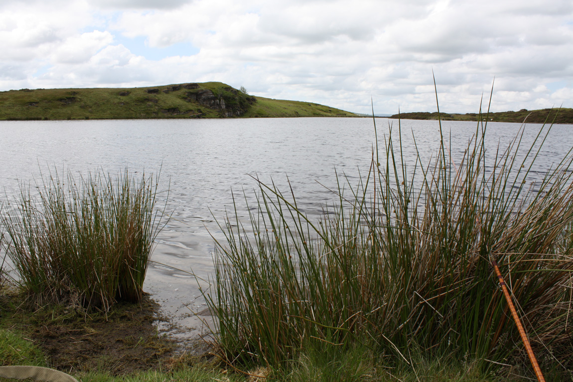 wild carp fishing at Pant y Llyn, powys wales