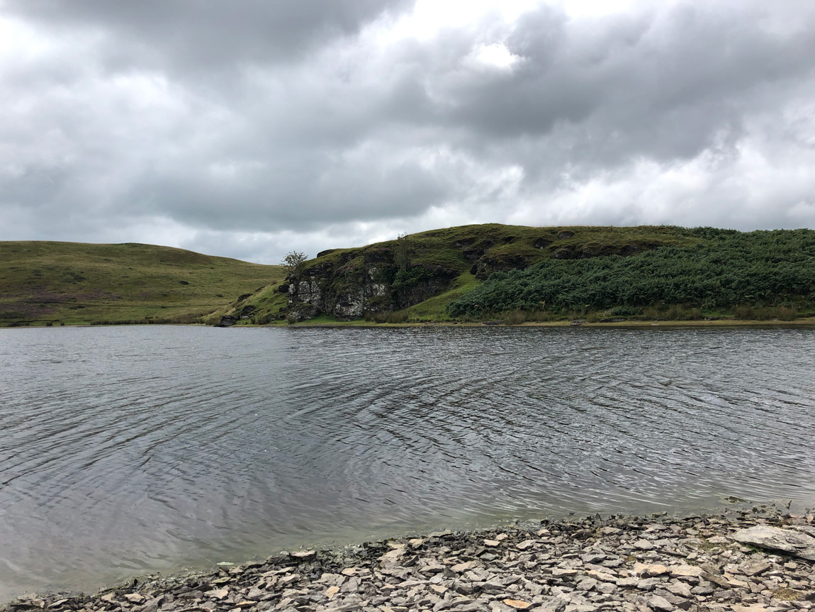 Pant y Llyn wild carp lake, Powys, Wales