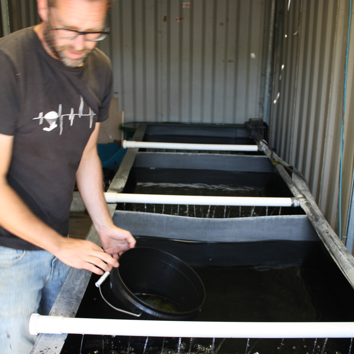 Ben gets ready to pour the eggs into their new temporary home.