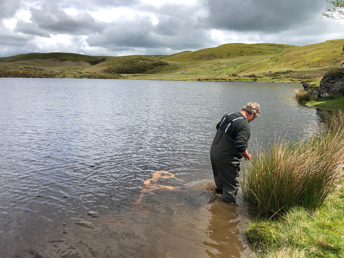 Spawning substrates in place at Pant y Llyn