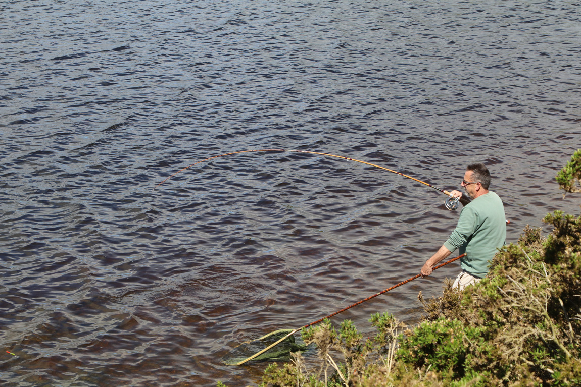 wild carp fishing at Pant y Llyn, Powys. 