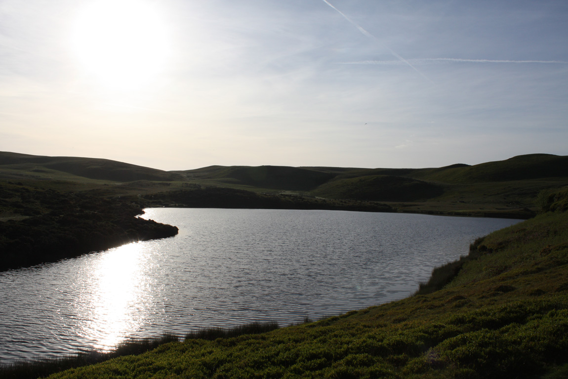 Pany y Llyn wild carp lake, Powys