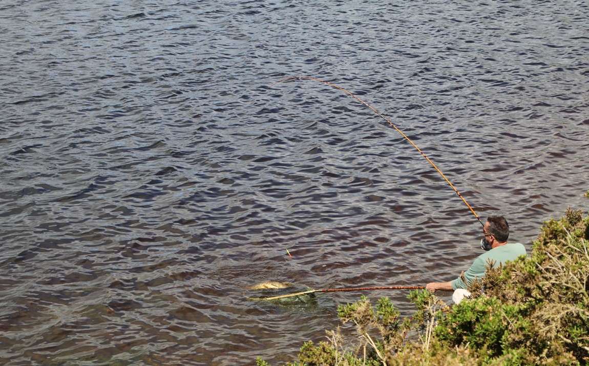 Wild carp fishing at Pant y Llyn, Powys.