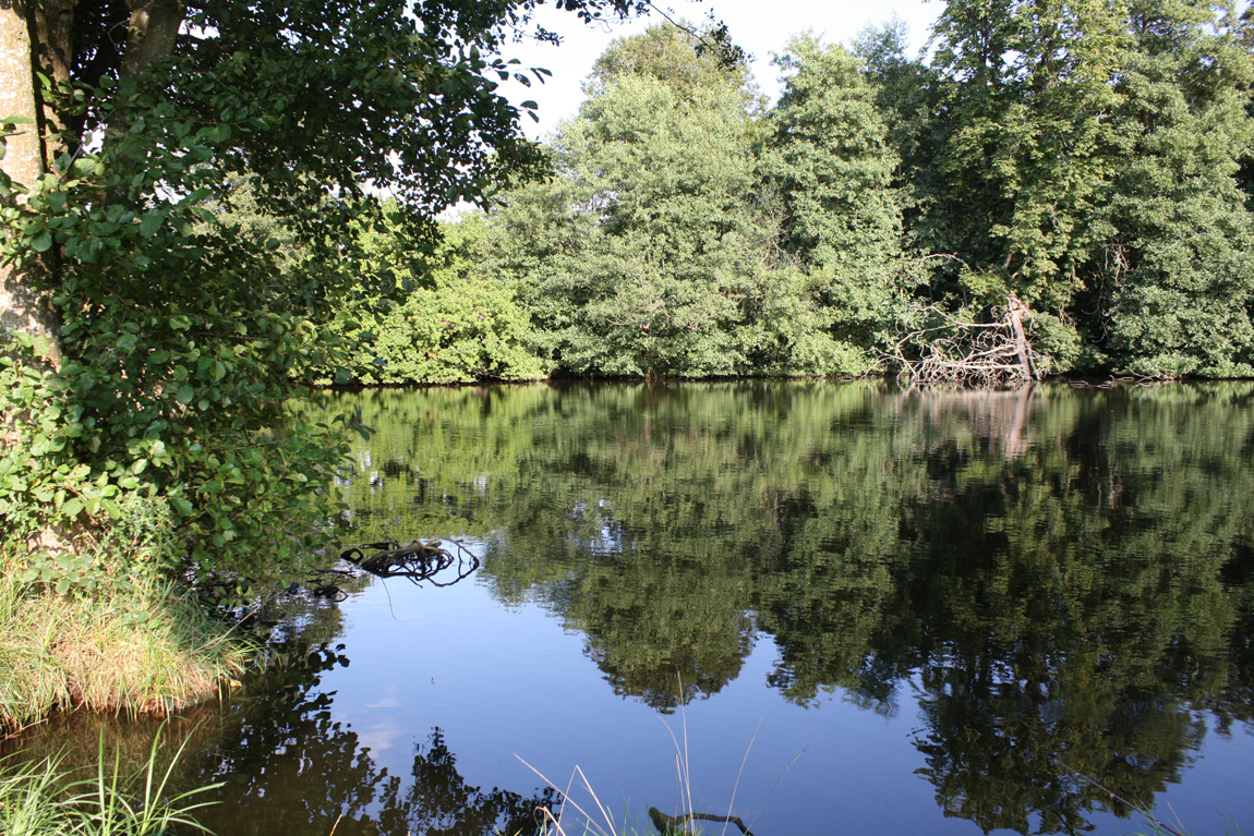 Chiddingstone Castle wild carp lake