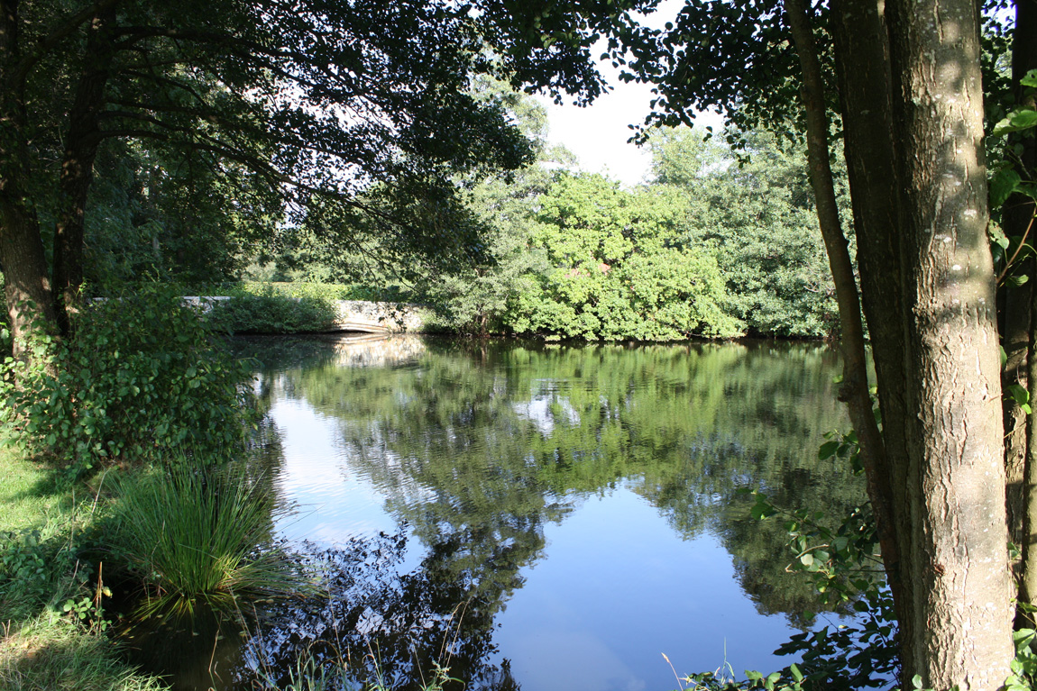 Chiddingstone Castle wild carp lake