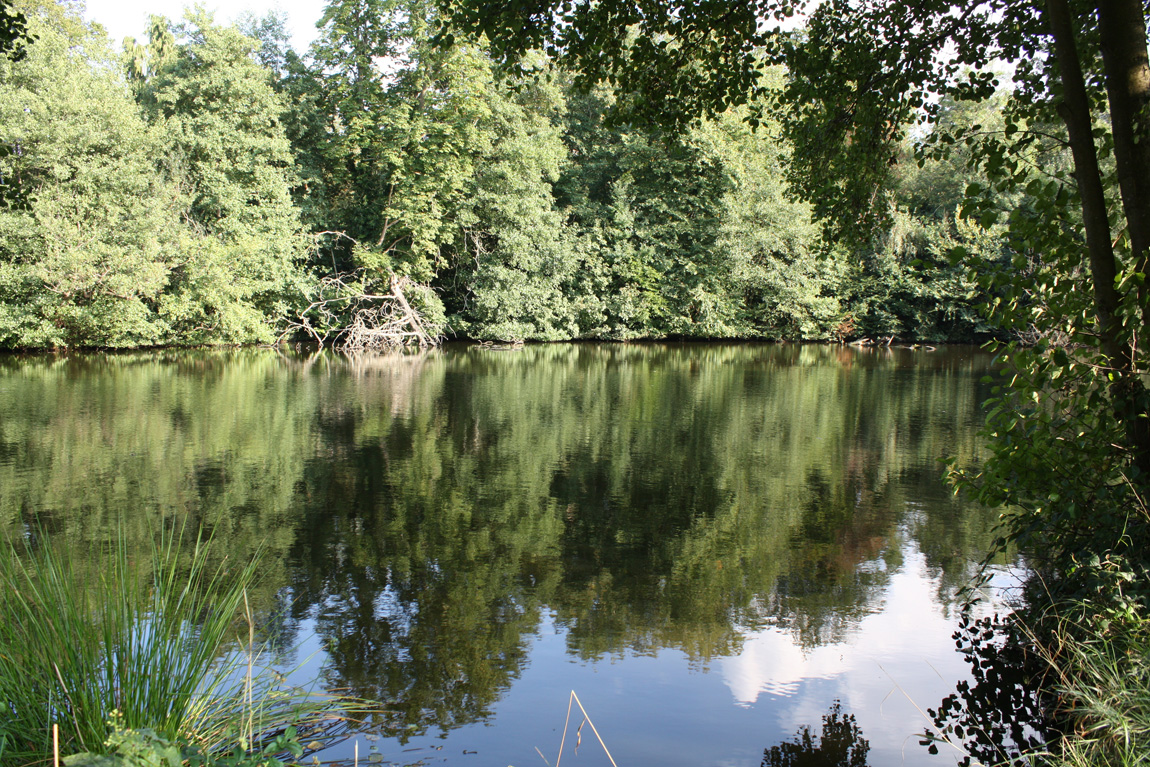 Chiddingstone Castle wild carp lake