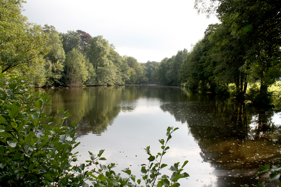 Chiddingstone Castle wild carp lake