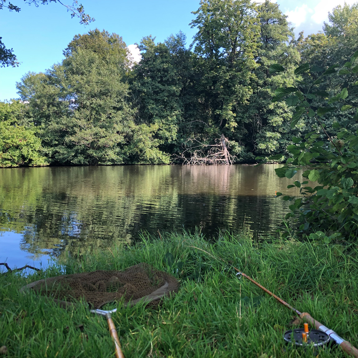 Chiddingstone Castle wild carp lake