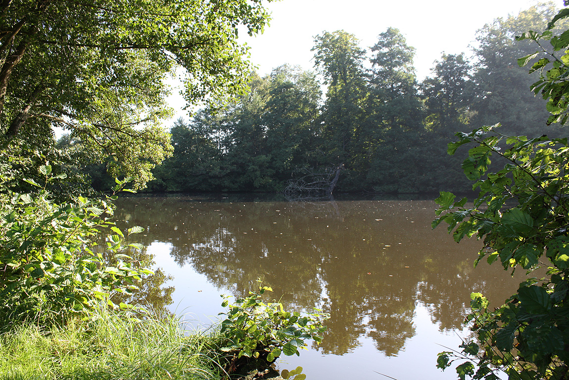 Chiddingstone Castle wild carp lake