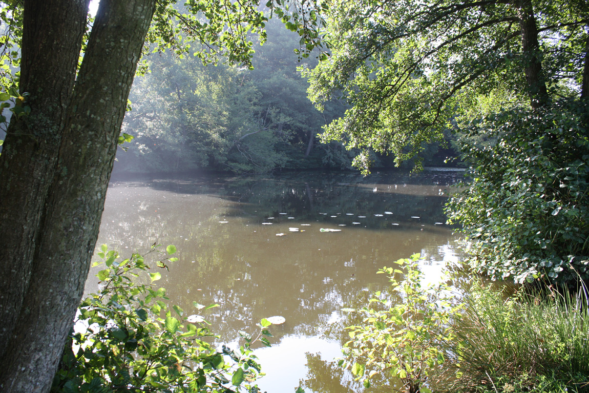 Chiddingstone Castle wild carp lake