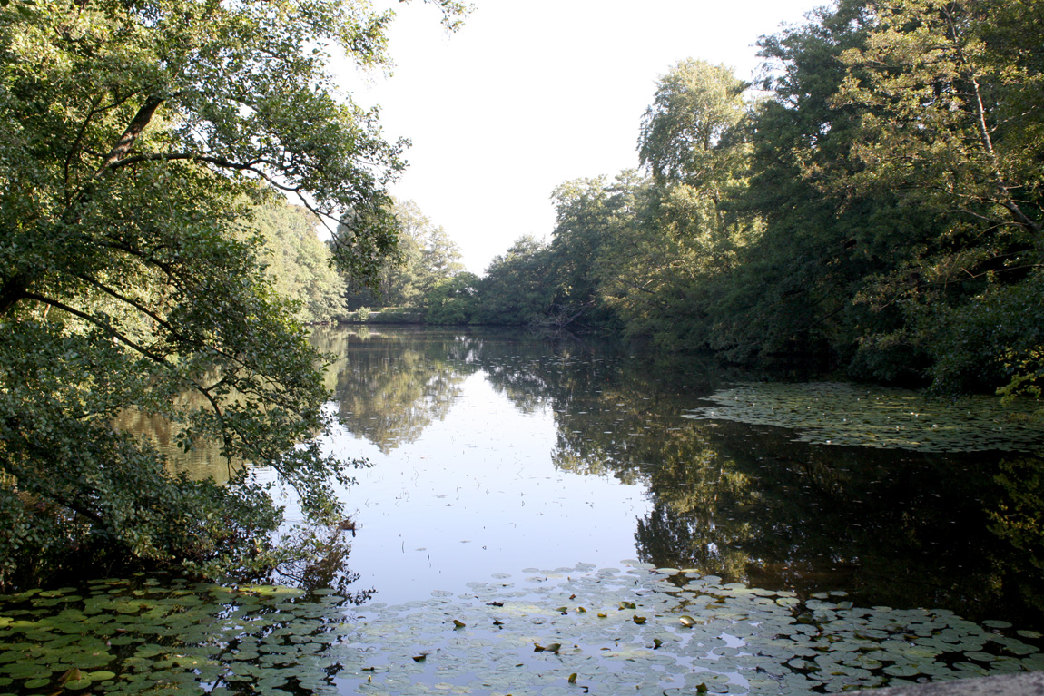 Chiddingstone Castle wild carp lake