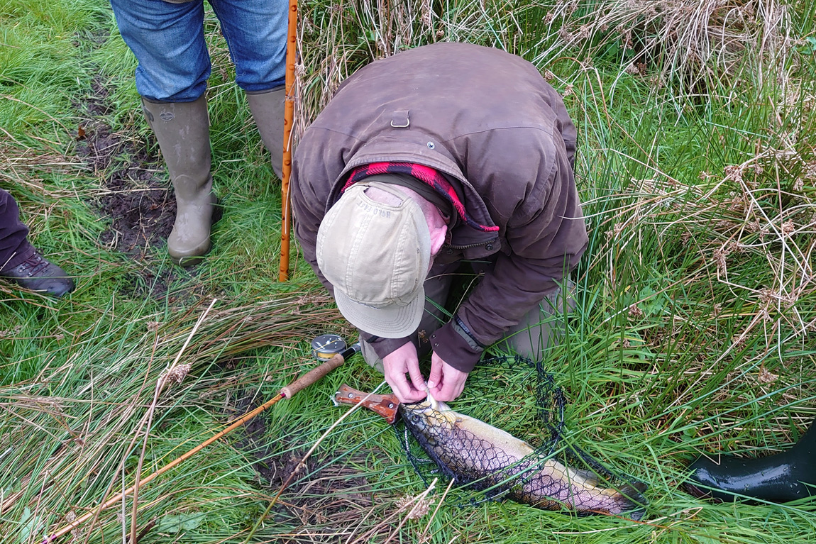 Cowslip Pool, Wild Carp Trust