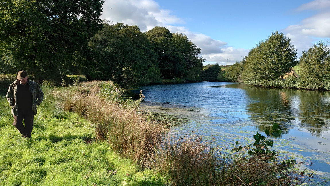 Cowslip Pool, Wild Carp Trust