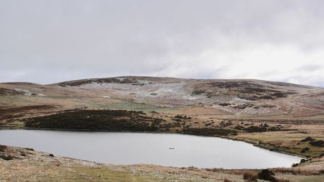 Pany y Llyn in spring