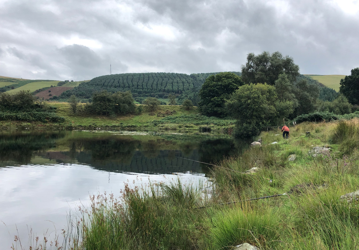 Llyngwyn wild carp fishing