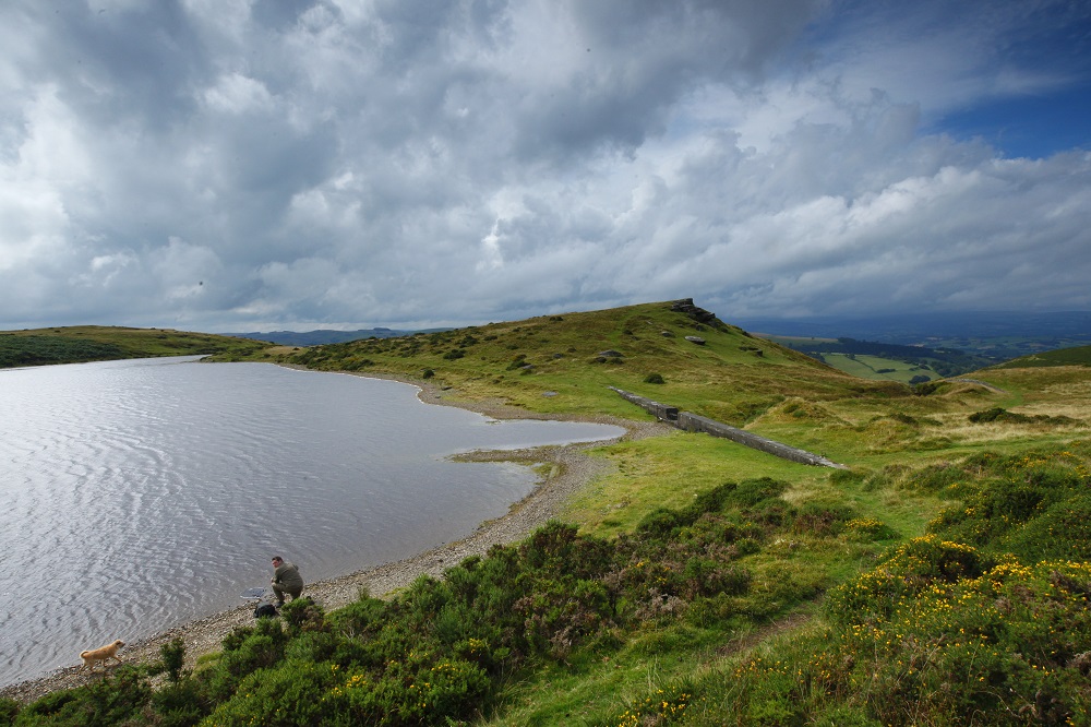 Pant y llyn wild carp fishery