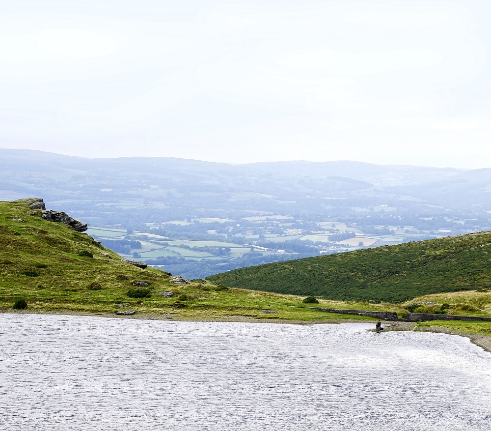 View from Pant y llyn wild carp