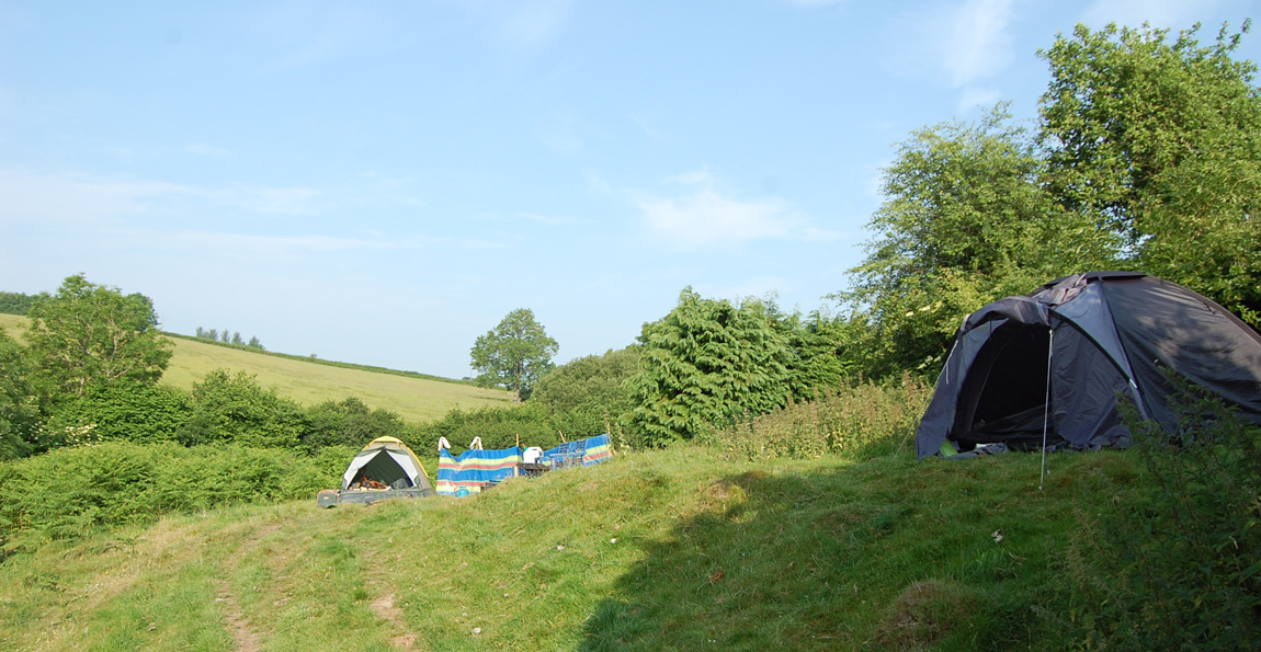 Fennel's tent