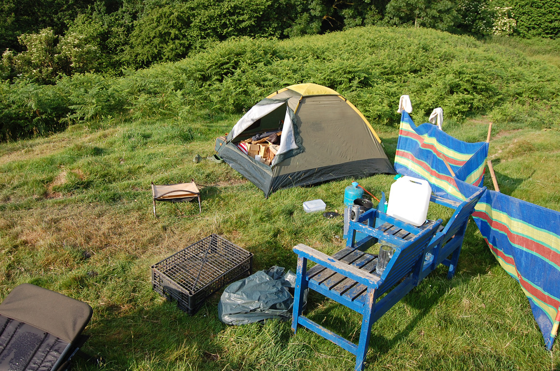 Wild carp trust first camp