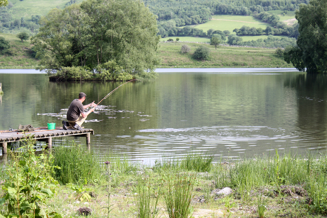 Stu Harris Llyngwyn wild carp