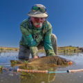 dave felce wild carp trust ambassador