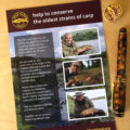 wild carp trust leaflet