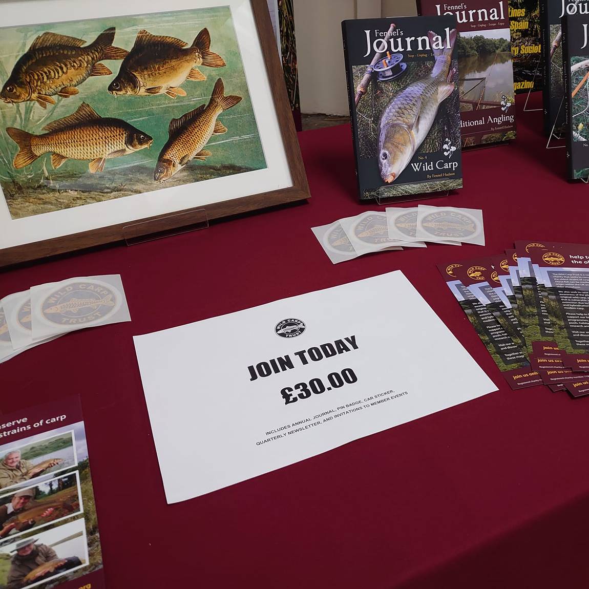 wild carp trust