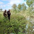 wild carp trust stock pond