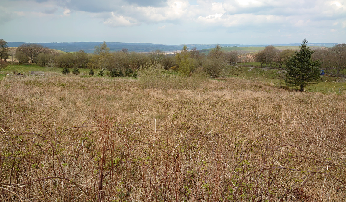 wild carp trust land