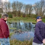 wild carp trust iris pool