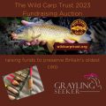 Wild Carp Trust auction 2023