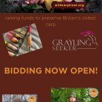 Wild Carp Trust auction 2023