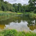 wild carp trust edwards pool