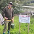 wild carp trust saving llyngwyn carp