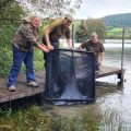 wild carp trust commercial carp sack