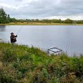 wild carp trust at llyngwyn