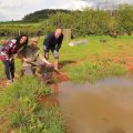 John's Pool wild carp trust