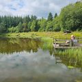 July Llyngwyn rehoming 2024 wild carp