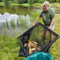 July llyngwyn wild carp rehoming