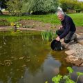 john bailey stocks rectory pond.